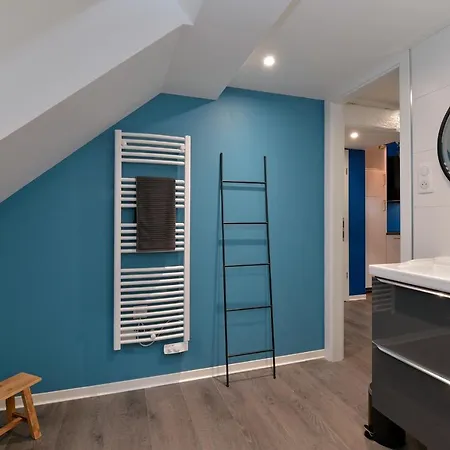 公寓 Les Du Centre Historique 科尔马