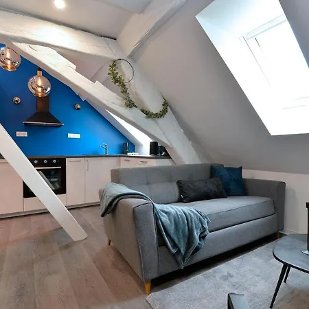 Les Du Centre Historique 公寓