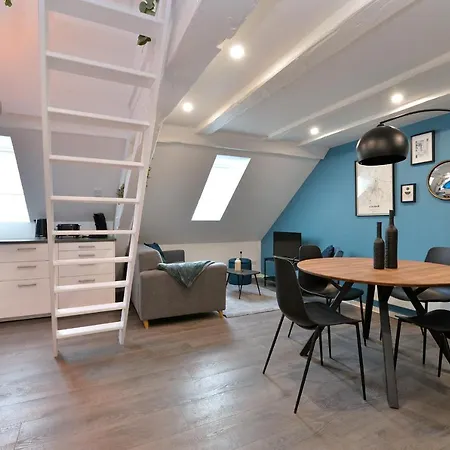 公寓 Les Du Centre Historique 科尔马