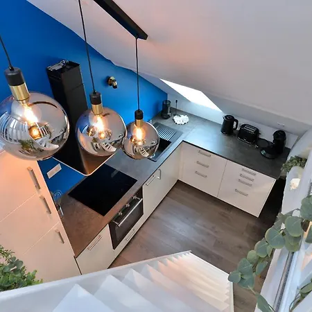 Les Du Centre Historique 公寓 科尔马