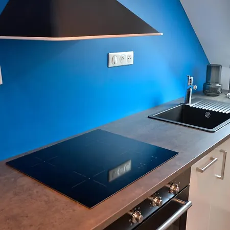 公寓 Les Du Centre Historique *