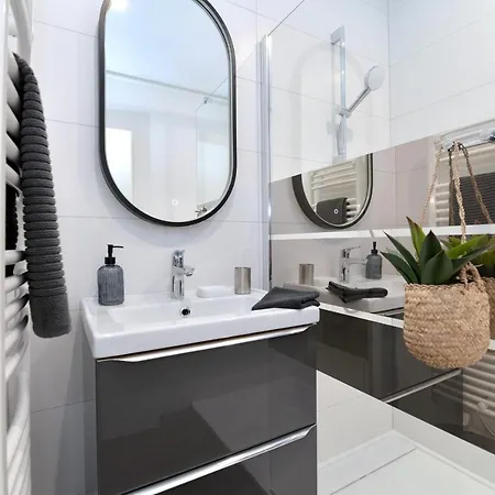 Les Du Centre Historique 科尔马